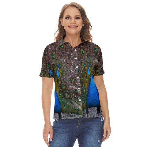 Bird Peacock Feathers Women s Short Sleeve Double Pocket Shirt by Perong