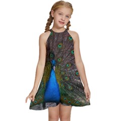 Bird Peacock Feathers Kids  Halter Collar Waist Tie Chiffon Dress by Perong