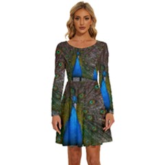 Bird Peacock Feathers Long Sleeve Wide Neck Velvet Dress by Perong