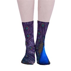 Bird Peacock Feathers Smooth Crew Length Tube Socks by Perong