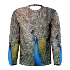 Peacock Bird Animal Peafowl Men s Long Sleeve T-shirt by Perong