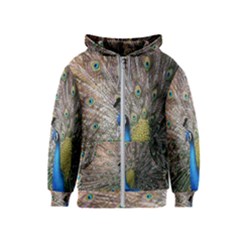 Peacock Bird Animal Peafowl Kids  Zipper Hoodie