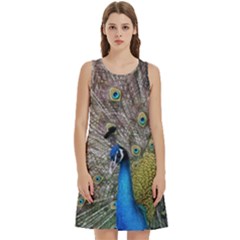 Peacock Bird Animal Peafowl Round Neck Sleeve Casual Dress With Pockets