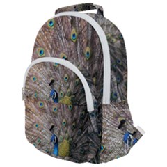 Peacock Bird Animal Peafowl Rounded Multi Pocket Backpack by Perong