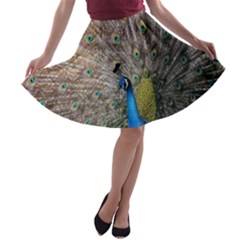 Peacock Bird Animal Peafowl A-line Skater Skirt by Perong