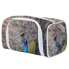 Peacock Bird Animal Peafowl Toiletries Pouch