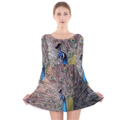 Peacock Bird Animal Peafowl Long Sleeve Velvet Skater Dress