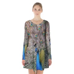 Peacock Bird Animal Peafowl Long Sleeve Velvet V-neck Dress