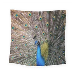 Peacock Bird Animal Peafowl Square Tapestry (small)