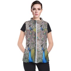 Peacock Bird Animal Peafowl Women s Puffer Vest