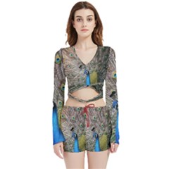 Peacock Bird Animal Peafowl Velvet Wrap Crop Top And Shorts Set by Perong