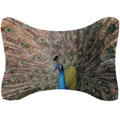 Peacock Bird Animal Peafowl Seat Head Rest Cushion by Perong