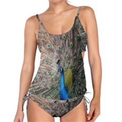 Peacock Bird Animal Peafowl Tankini Set by Perong