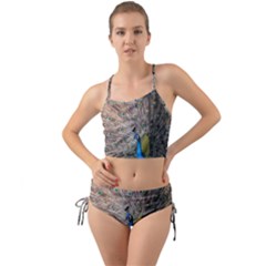 Peacock Bird Animal Peafowl Mini Tank Bikini Set by Perong