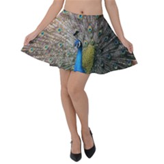 Peacock Bird Animal Peafowl Velvet Skater Skirt