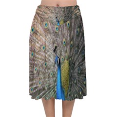 Peacock Bird Animal Peafowl Velvet Flared Midi Skirt