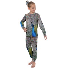 Peacock Bird Animal Peafowl Kids  Long Sleeve Set 