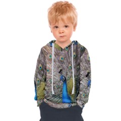 Peacock Bird Animal Peafowl Kids  Overhead Hoodie