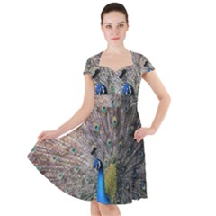 Peacock Bird Animal Peafowl Cap Sleeve Midi Dress