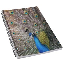 Peacock Bird Animal Peafowl 5 5  X 8 5  Notebook by Perong