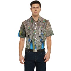 Peacock Bird Animal Peafowl Men s Short Sleeve Pocket Shirt  by Perong