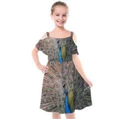 Peacock Bird Animal Peafowl Kids  Cut Out Shoulders Chiffon Dress by Perong