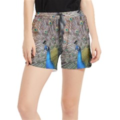 Peacock Bird Animal Peafowl Women s Runner Shorts