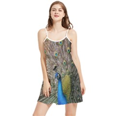 Peacock Bird Animal Peafowl Summer Frill Dress by Perong