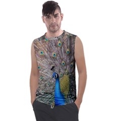 Peacock Bird Animal Peafowl Men s Regular Tank Top by Perong