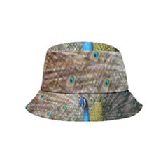 Peacock Bird Animal Peafowl Bucket Hat (kids) by Perong