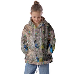 Peacock Bird Animal Peafowl Kids  Oversized Hoodie