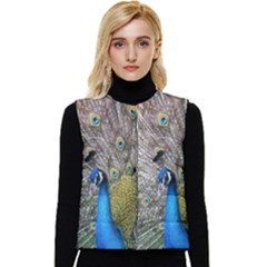 Peacock Bird Animal Peafowl Women s Button Up Puffer Vest by Perong