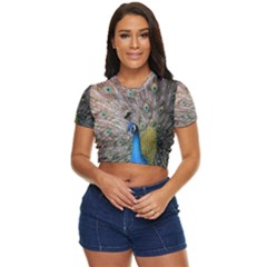 Peacock Bird Animal Peafowl Side Button Cropped T-shirt