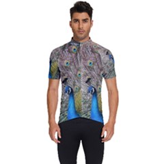 Peacock Bird Animal Peafowl Men s Short Sleeve Cycling Jersey by Perong