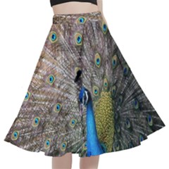 Peacock Bird Animal Peafowl A-line Full Circle Midi Skirt With Pocket