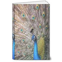 Peacock Bird Animal Peafowl 8  X 10  Hardcover Notebook by Perong