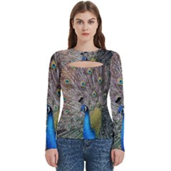 Peacock Bird Animal Peafowl Women s Cut Out Long Sleeve T-shirt