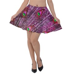 Peacock Feathers Coloured Plumage Pink Red Velvet Skater Skirt