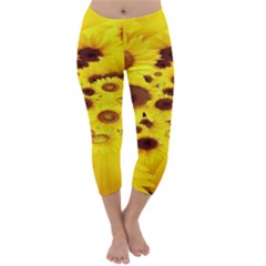 Beautiful Sunflowers Capri Winter Leggings 