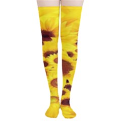 Beautiful Sunflowers Thigh High Stockings