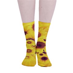 Beautiful Sunflowers Smooth Crew Length Tube Socks by Ket1n9