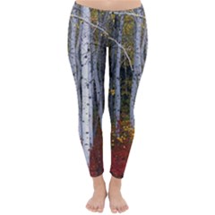 White Birch Trees Autumn Classic Winter Leggings