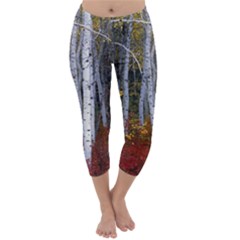 White Birch Trees Autumn Capri Winter Leggings 