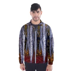 White Birch Trees Autumn Men s Windbreaker