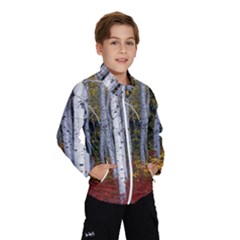 White Birch Trees Autumn Kids  Windbreaker