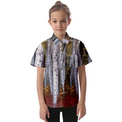 White Birch Trees Autumn Kids  Short Sleeve Shirt by Perong