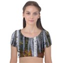 White Birch Trees Autumn Velvet Short Sleeve Crop Top  View1