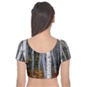 White Birch Trees Autumn Velvet Short Sleeve Crop Top  View2