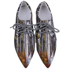 White Birch Trees Autumn Pointed Oxford Shoes by Perong