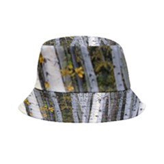 White Birch Trees Autumn Inside Out Bucket Hat by Perong